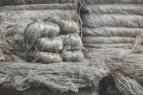 知訊024 2024年歐洲亞麻收成前景樂(lè)觀，利好針紡織品產(chǎn)業(yè)