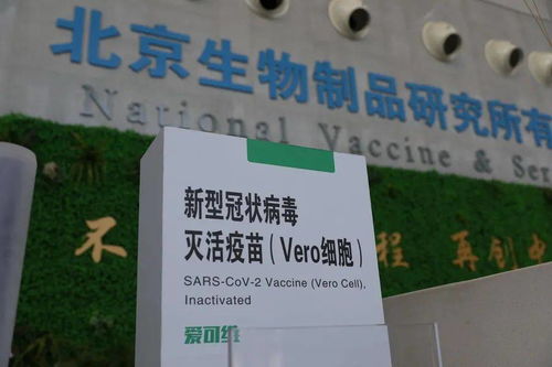 本土新增108例，防疫健康包與應對指南